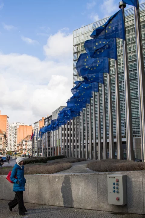 EU flags
