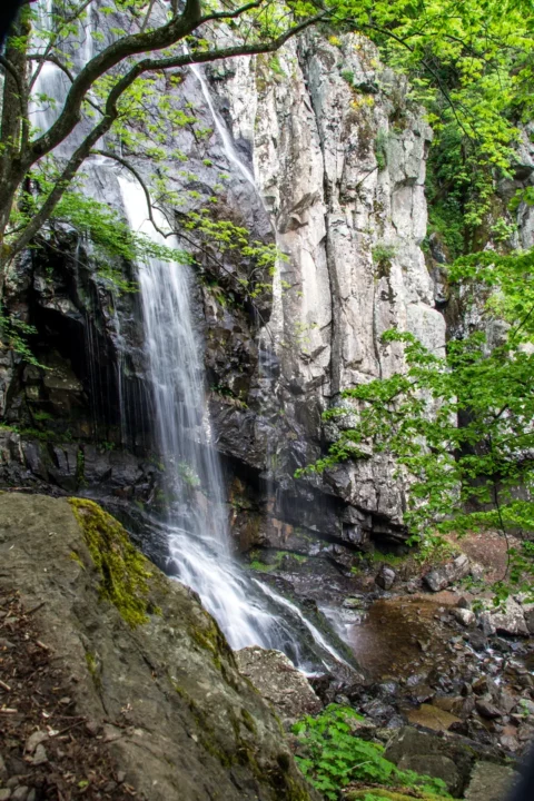 Boyana waterfall