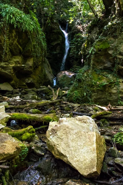Leshnishki (Hazelnut) waterfall deep in the woods