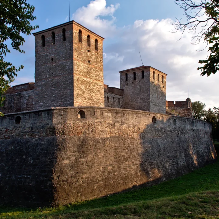 Baba Vida castle