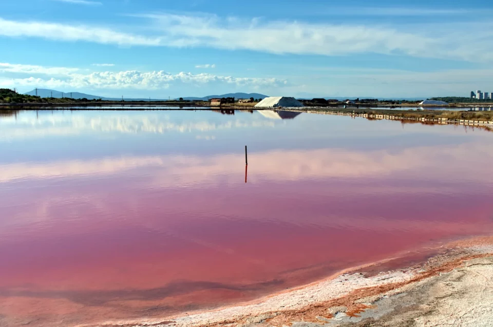 pink salt pond