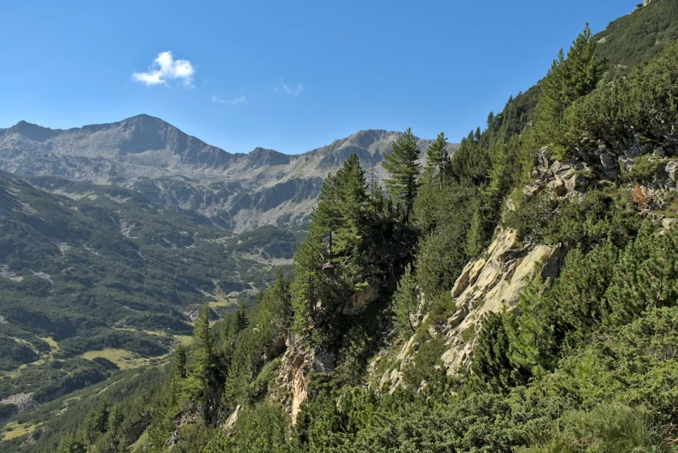 Pirin National Reserve
